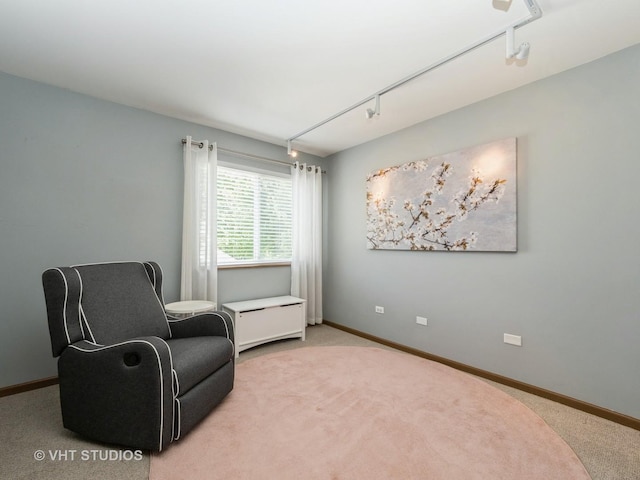 134 S Hankes Rd, Aurora, IL 60506 - living area with carpet flooring and track lighting