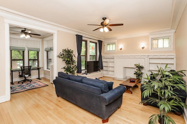 5142 S Greenwood Ave Unit 1, Chicago, IL 60615 - living room featuring a ceiling fan, crown molding, hardwood / wood-style flooring, and plenty of natural light