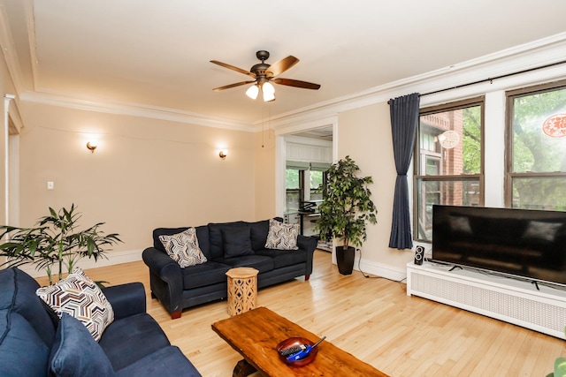 5142 S Greenwood Ave Unit 1, Chicago, IL 60615 - living room featuring light wood finished floors, plenty of natural light, a ceiling fan, and crown molding