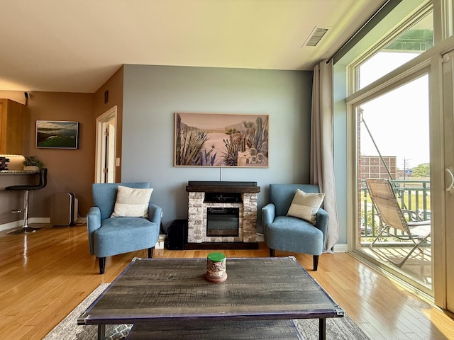 160 S River St Unit 204, Aurora, IL 60506 - living area with light wood finished floors, healthy amount of natural light, and a stone fireplace