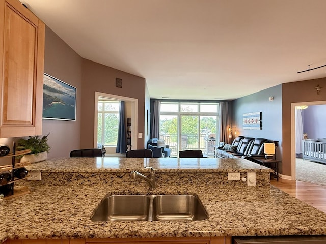 160 S River St Unit 204, Aurora, IL 60506 - kitchen with open floor plan, light stone countertops, and wood finished floors
