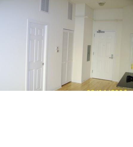 1919 S Michigan Ave Unit 412, Chicago, IL 60616 - foyer entrance featuring light wood finished floors and electric panel