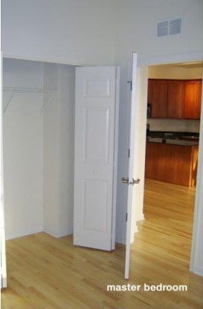 1919 S Michigan Ave Unit 412, Chicago, IL 60616 - view of closet