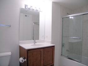 1919 S Michigan Ave Unit 412, Chicago, IL 60616 - bathroom featuring vanity and enclosed tub / shower combo