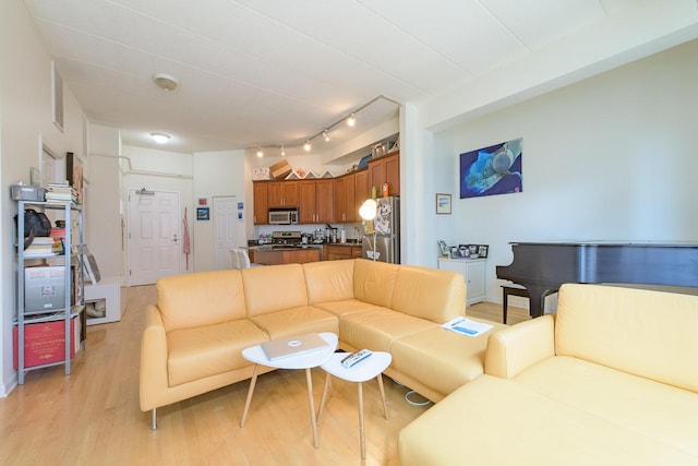 1919 S Michigan Ave Unit 412, Chicago, IL 60616 - living room with light wood-style floors and track lighting