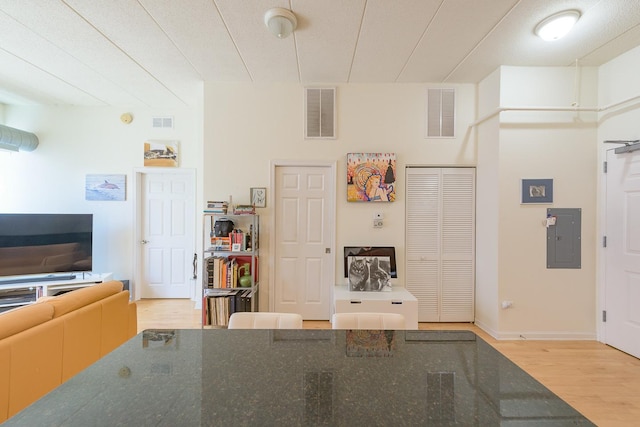 1919 S Michigan Ave Unit 412, Chicago, IL 60616 - living area with electric panel and wood finished floors
