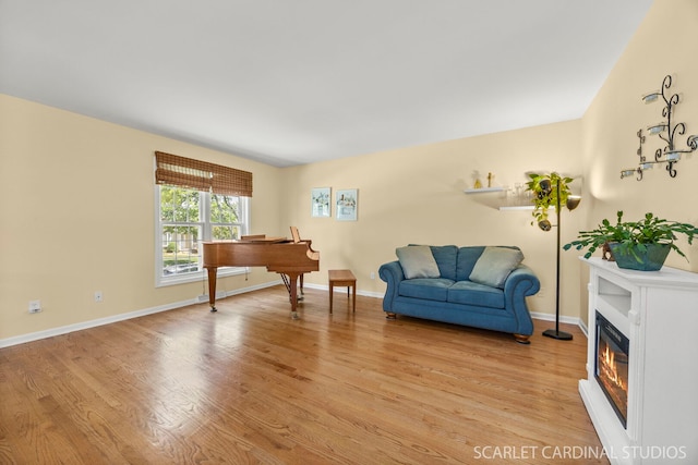 1006 Britta Ln, Geneva, IL 60134 - living area featuring light wood-style floors and a glass covered fireplace