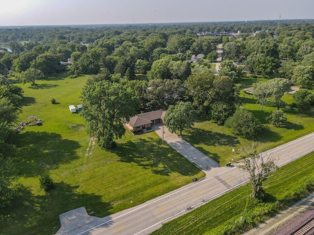 400-02 S Washington St, Braidwood, IL 60408 - bird's eye view of a forest