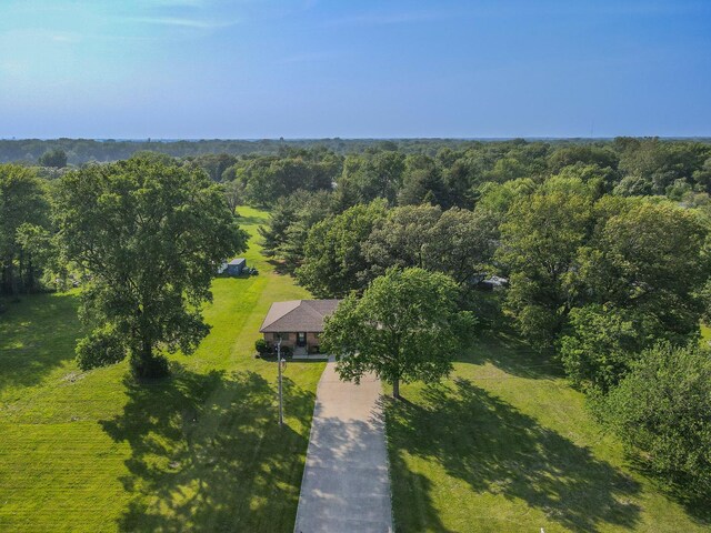 400-02 S Washington St, Braidwood, IL 60408 - view of subject property featuring a heavily wooded area