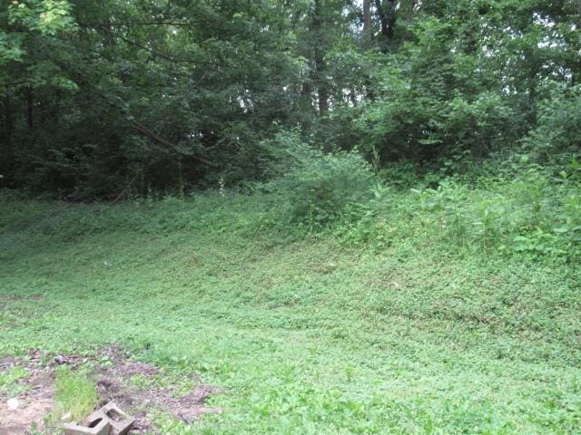 2238 Oakwood Ave, Danville, IL 61832 - view of nature