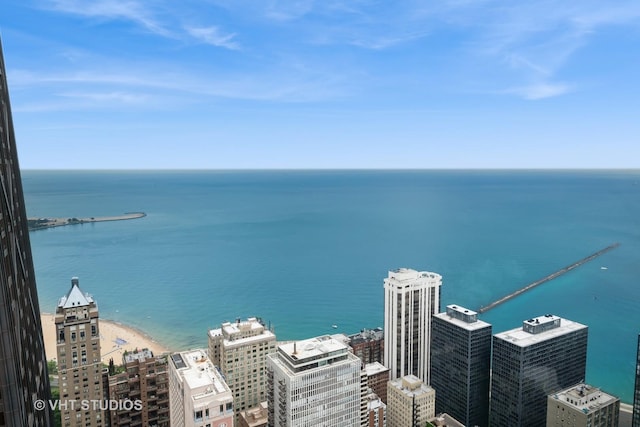 180 E Pearson St Unit 5201, Chicago, IL 60611 - photo 25