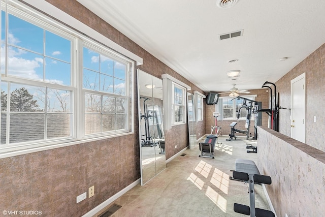 2215 Yeoman St, Waukegan, IL 60087 - workout room featuring a ceiling fan and light colored carpet
