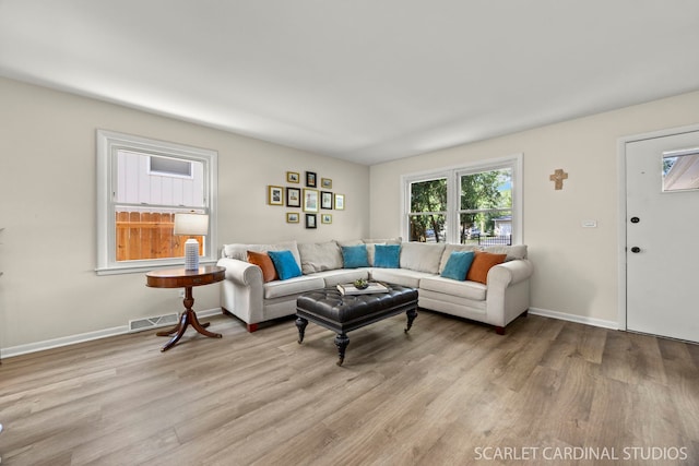 206-208 N Fremont St, Naperville, IL 60540 - living room featuring light wood-type flooring
