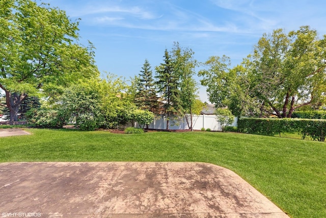 4265 Portage Ln, Hoffman Estates, IL 60192 - view of yard