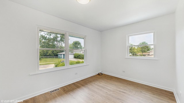 22201 Windsor Ct, Richton Park, IL 60471 - unfurnished room with plenty of natural light and light wood finished floors