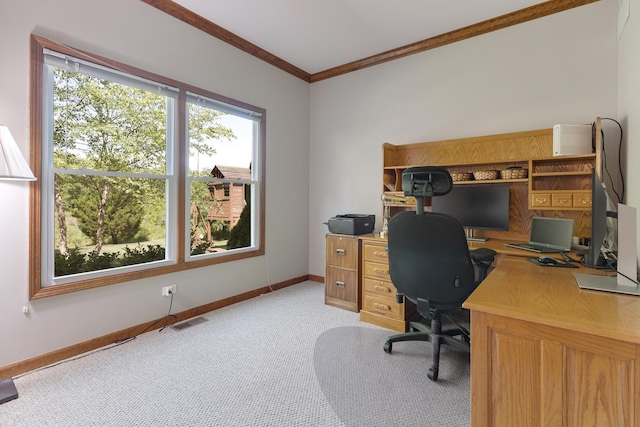 2251 Sutton Dr, South Elgin, IL 60177 - home office with ornamental molding and light carpet