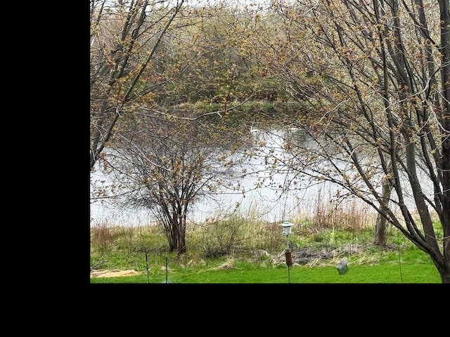 2251 Sutton Dr, South Elgin, IL 60177 - water view