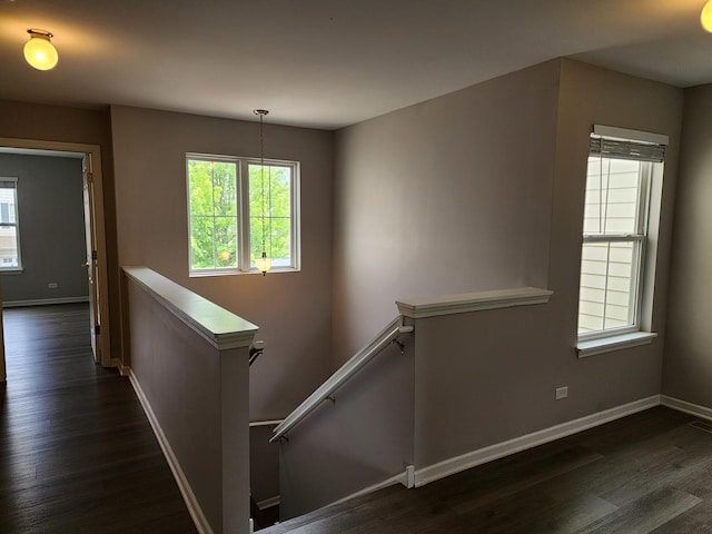 3169 Pearl St, Elgin, IL 60124 - hall with an upstairs landing and dark wood finished floors