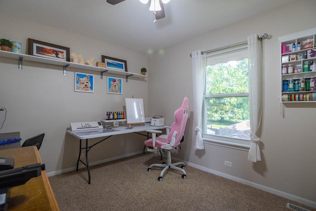 85 Fieldstone Dr, Lake Villa, IL 60046 - carpeted office space with healthy amount of natural light and a ceiling fan