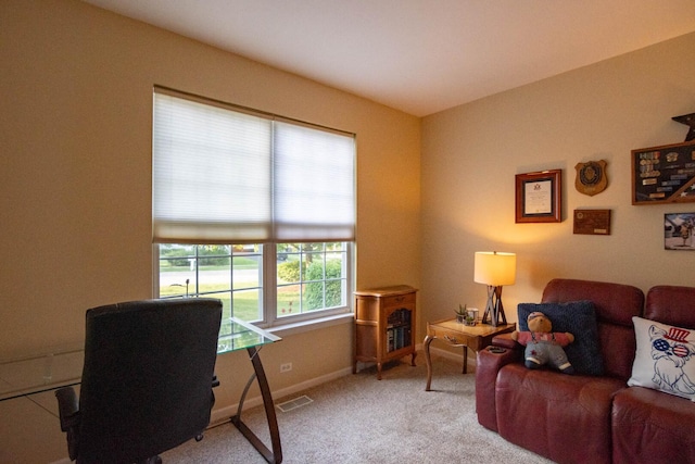 85 Fieldstone Dr, Lake Villa, IL 60046 - carpeted office with baseboards