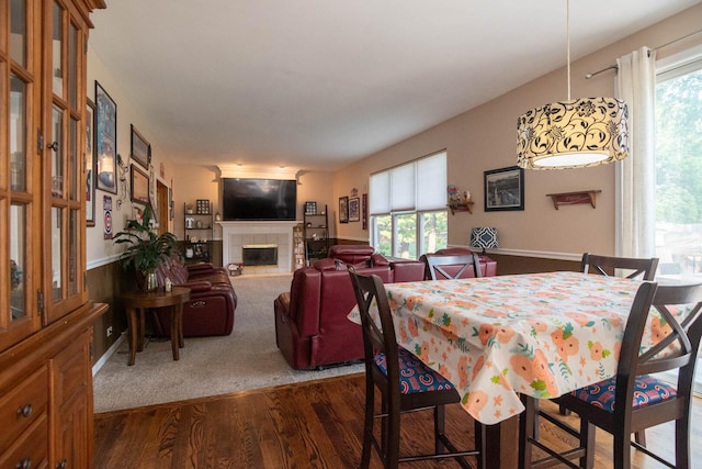 85 Fieldstone Dr, Lake Villa, IL 60046 - dining area featuring healthy amount of natural light, dark wood-style floors, and a tiled fireplace