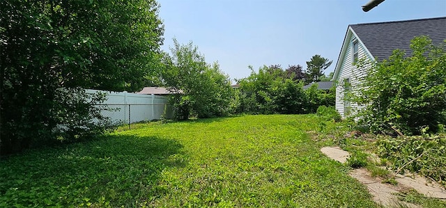 527 E Wall St, Morrison, IL 61270 - view of yard