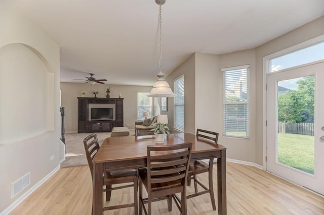 11703 Wolf Creek Ln, Plainfield, IL 60585 - dining room featuring light wood-style flooring, plenty of natural light, and a ceiling fan
