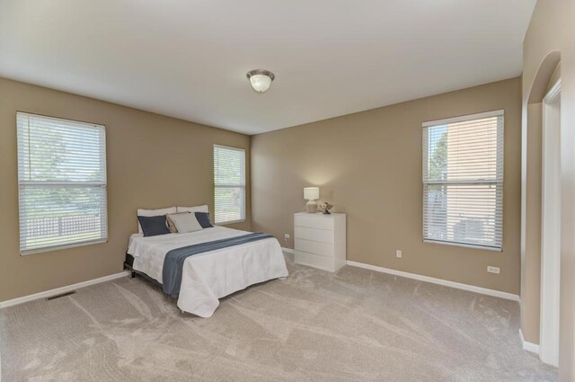 11703 Wolf Creek Ln, Plainfield, IL 60585 - bedroom with multiple windows and light colored carpet