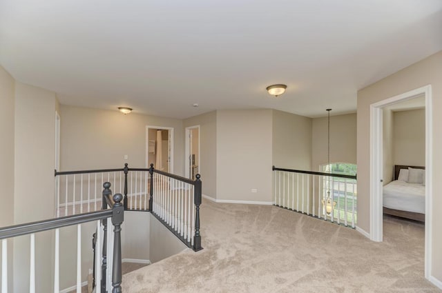 11703 Wolf Creek Ln, Plainfield, IL 60585 - hallway featuring an upstairs landing and carpet flooring
