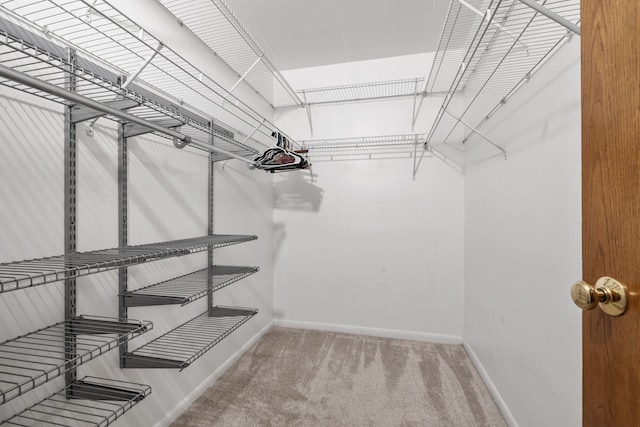 491 Timber Ridge Dr Unit 104, Carol Stream, IL 60188 - walk in closet with carpet