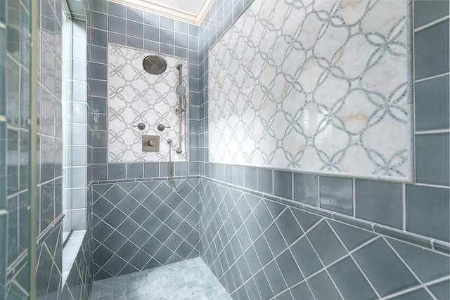 1046 Sylvan Cir, Naperville, IL 60540 - bathroom with tiled shower