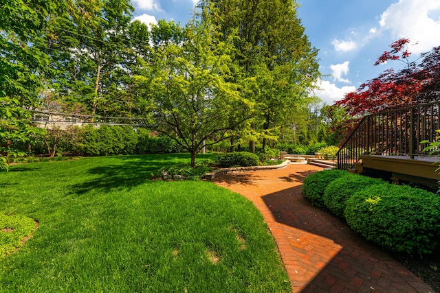 1046 Sylvan Cir, Naperville, IL 60540 - view of grassy yard