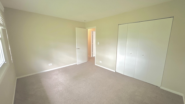 22614 Clarendon Ave, Richton Park, IL 60471 - photo 12