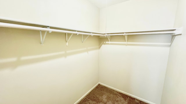 22614 Clarendon Ave, Richton Park, IL 60471 - photo 10