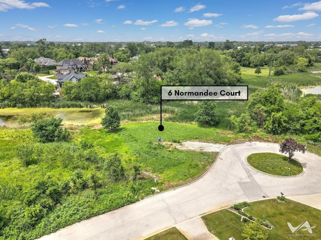 6 Normandee Ct, Burr Ridge, IL 60527