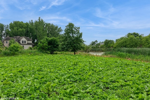 6 Normandee Ct, Burr Ridge, IL 60527