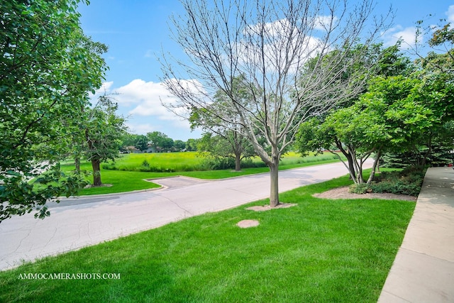 1405 Manning Ave, Montgomery, IL 60538 - view of property's community with a yard