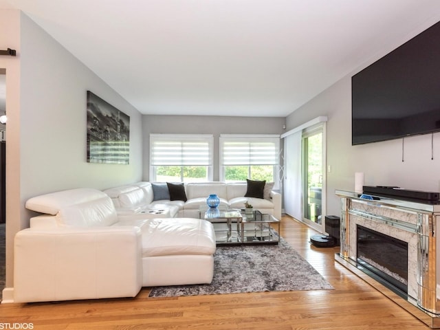 1022 Pinetree Cir N Unit 1022, Buffalo Grove, IL 60089 - living area featuring wood finished floors and a glass covered fireplace