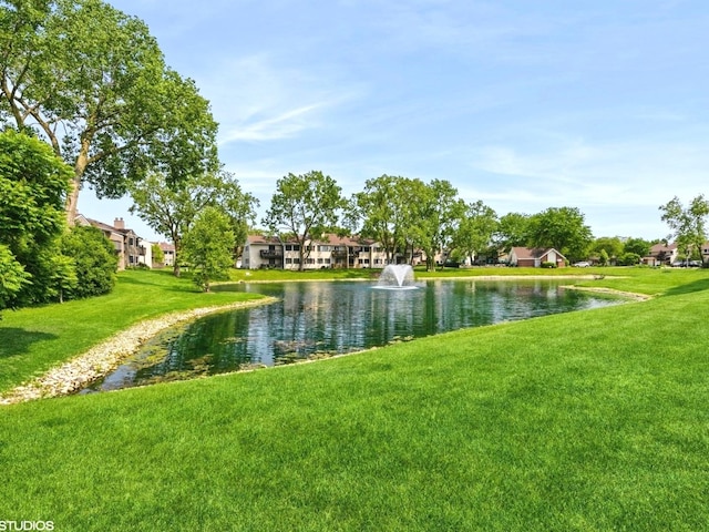 1022 Pinetree Cir N Unit 1022, Buffalo Grove, IL 60089 - water view