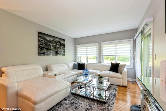 1022 Pinetree Cir N Unit 1022, Buffalo Grove, IL 60089 - living room featuring healthy amount of natural light and light wood finished floors