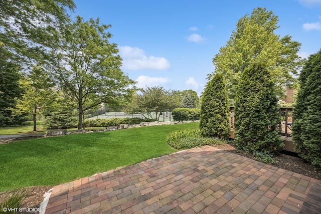 1012 Hickory Dr, Western Springs, IL 60558 - view of patio / terrace