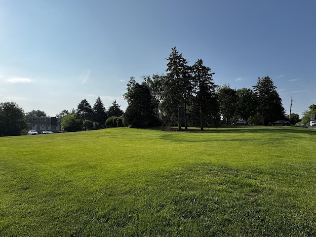 305 S Lambert Rd, Glen Ellyn, IL 60137 - view of property's community featuring a lawn