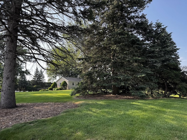 305 S Lambert Rd, Glen Ellyn, IL 60137 - view of green lawn