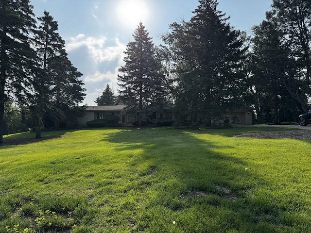 305 S Lambert Rd, Glen Ellyn, IL 60137 - view of grassy yard