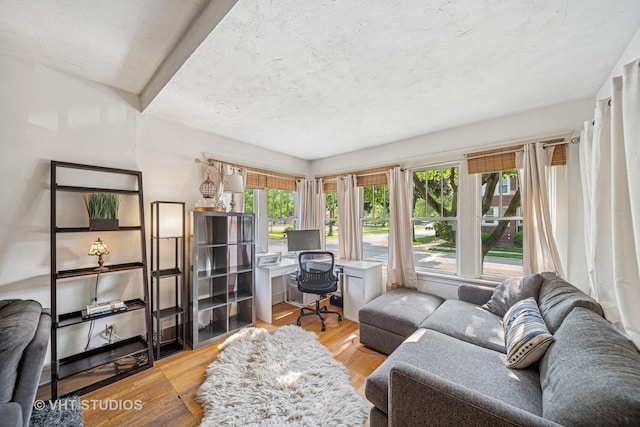 544 S Cuyler Ave, Oak Park, IL 60304 - photo 3
