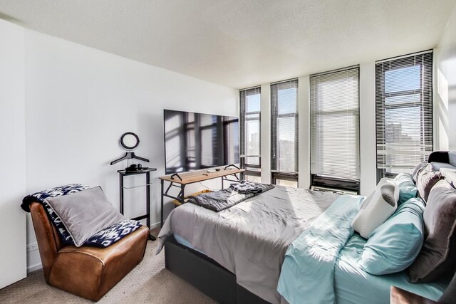 6700 S S Shore Dr Unit 17C, Chicago, IL 60649 - bedroom featuring floor to ceiling windows and carpet
