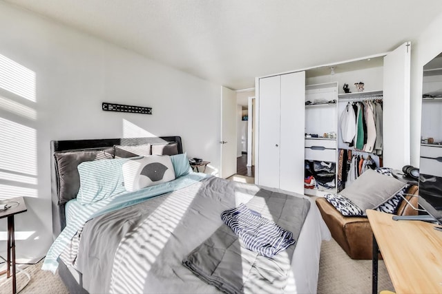 6700 S S Shore Dr Unit 17C, Chicago, IL 60649 - bedroom with a closet
