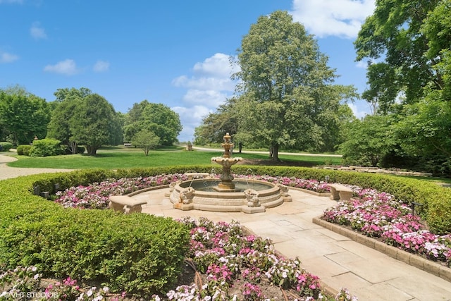 5688 Rosos Pkwy, Long Grove, IL 60047 - surrounding community featuring a yard
