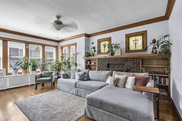 1027 N Harlem Ave, Oak Park, IL 60302 - living room with ceiling fan, radiator, crown molding, and wood finished floors