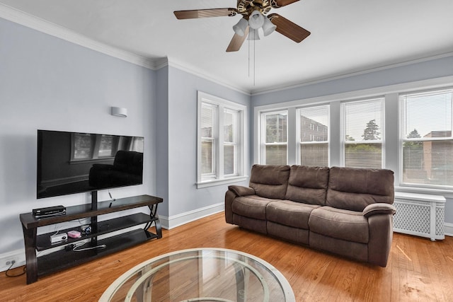 1027 N Harlem Ave, Oak Park, IL 60302 - living room featuring radiator, wood finished floors, a ceiling fan, and ornamental molding